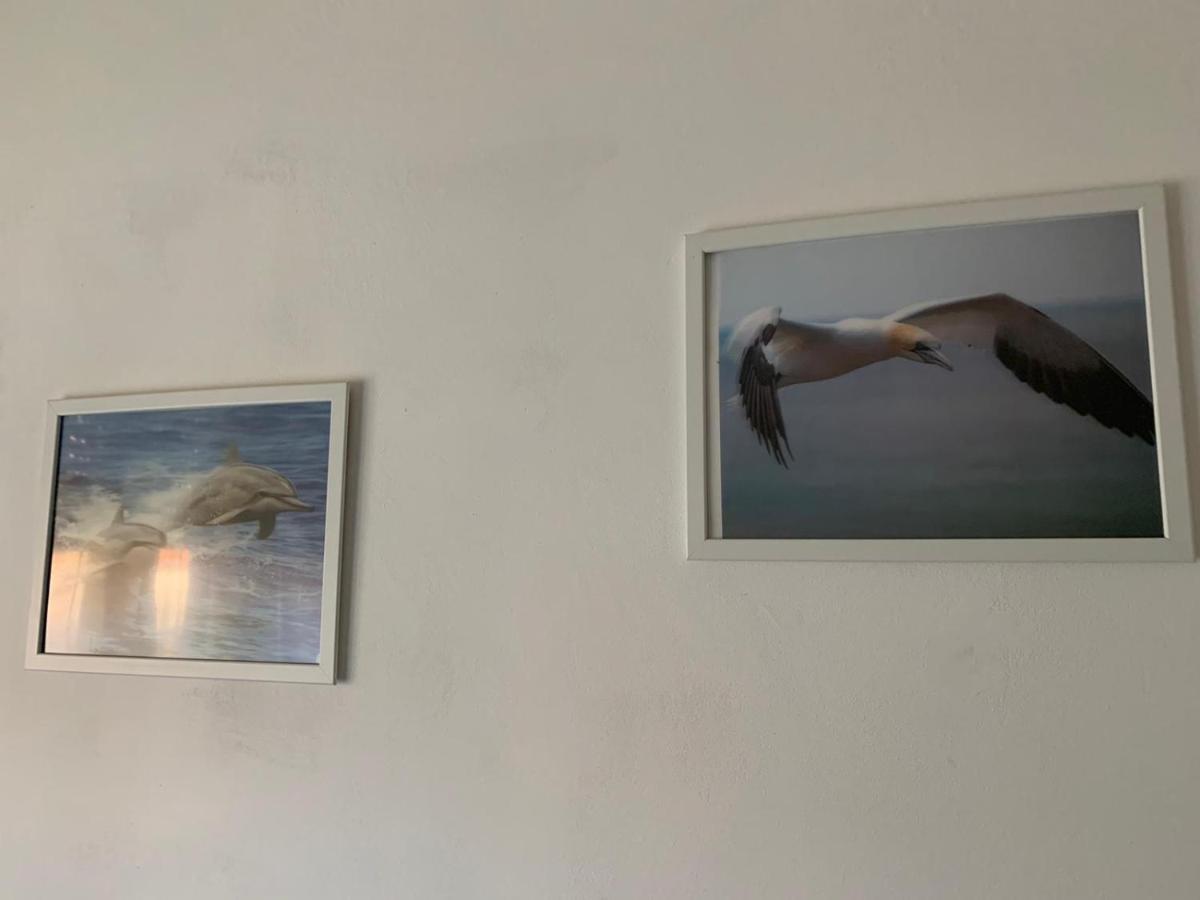 Appartamento Casa Daniele Lido di Ostia Esterno foto